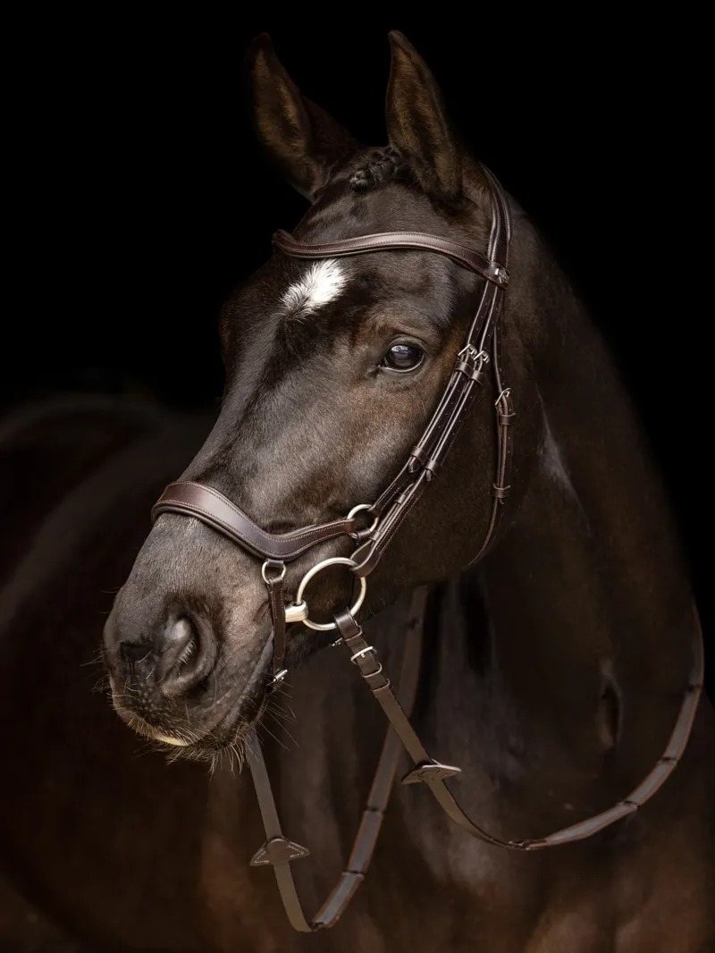 LeMieux Arika Drop Bridle in Brown and Silver-4
