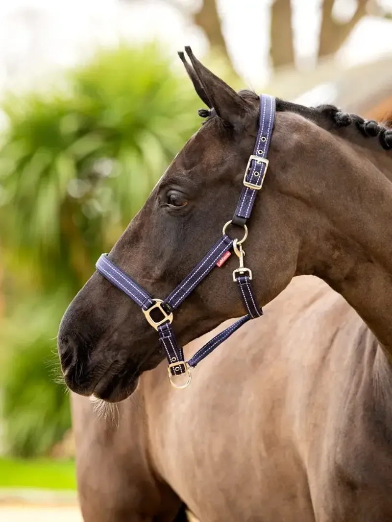 LeMieux Essential Yard Headcollar in Navy-1