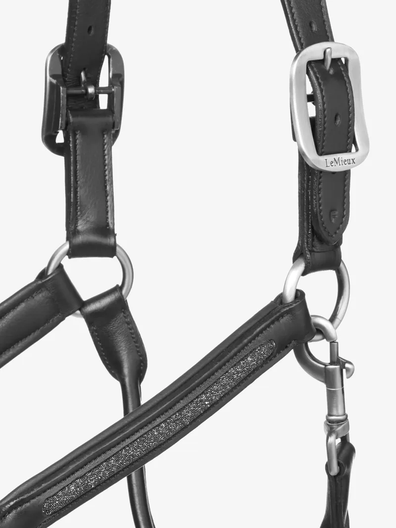 LeMieux Crystal Leather Headcollar in Black-2