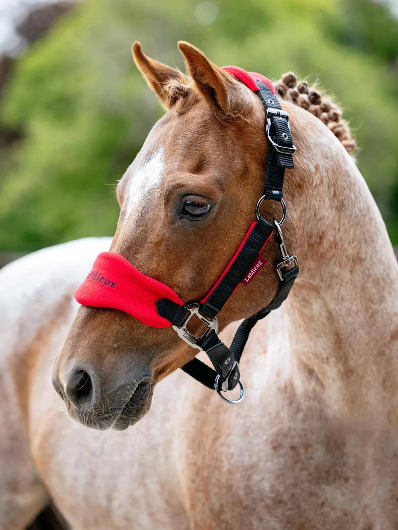 LeMieux Mini Vogue Headcollar and Leadrope in Chilli-1