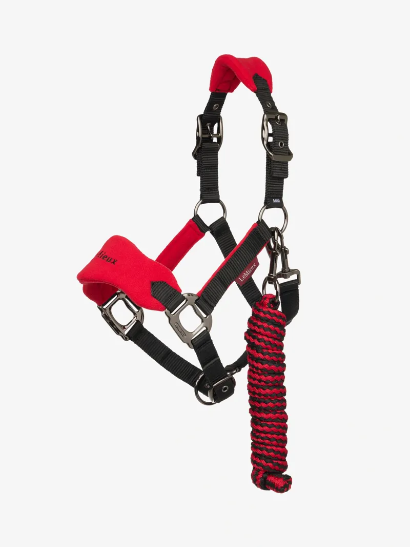 LeMieux Mini Vogue Headcollar and Leadrope in Chilli
