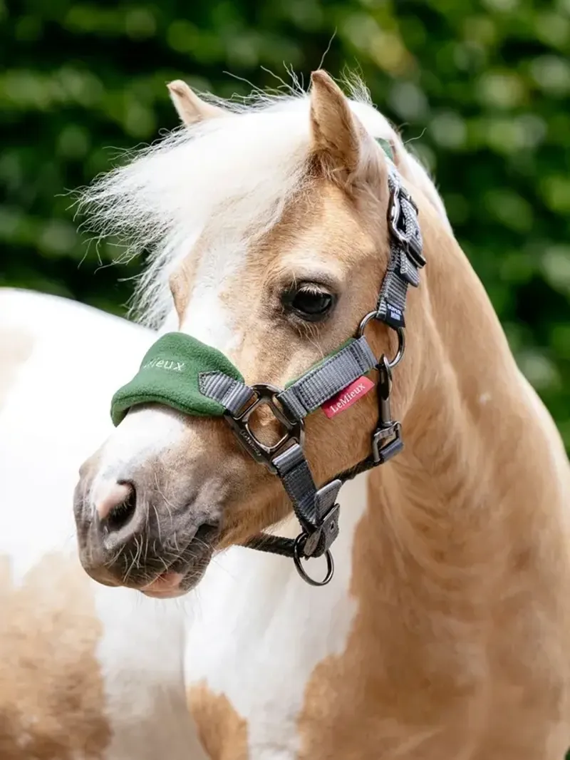 LeMieux Mini Vogue Headcollar and Leadrope in Hunter Green-1