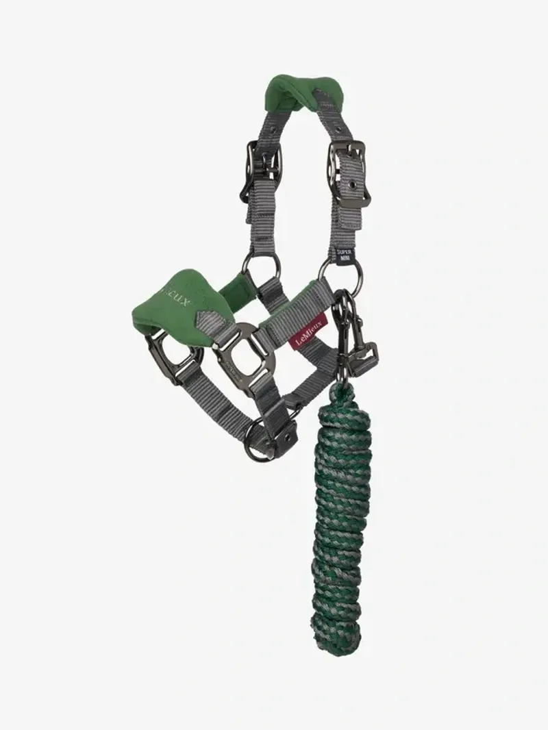 LeMieux Mini Vogue Headcollar and Leadrope in Hunter Green