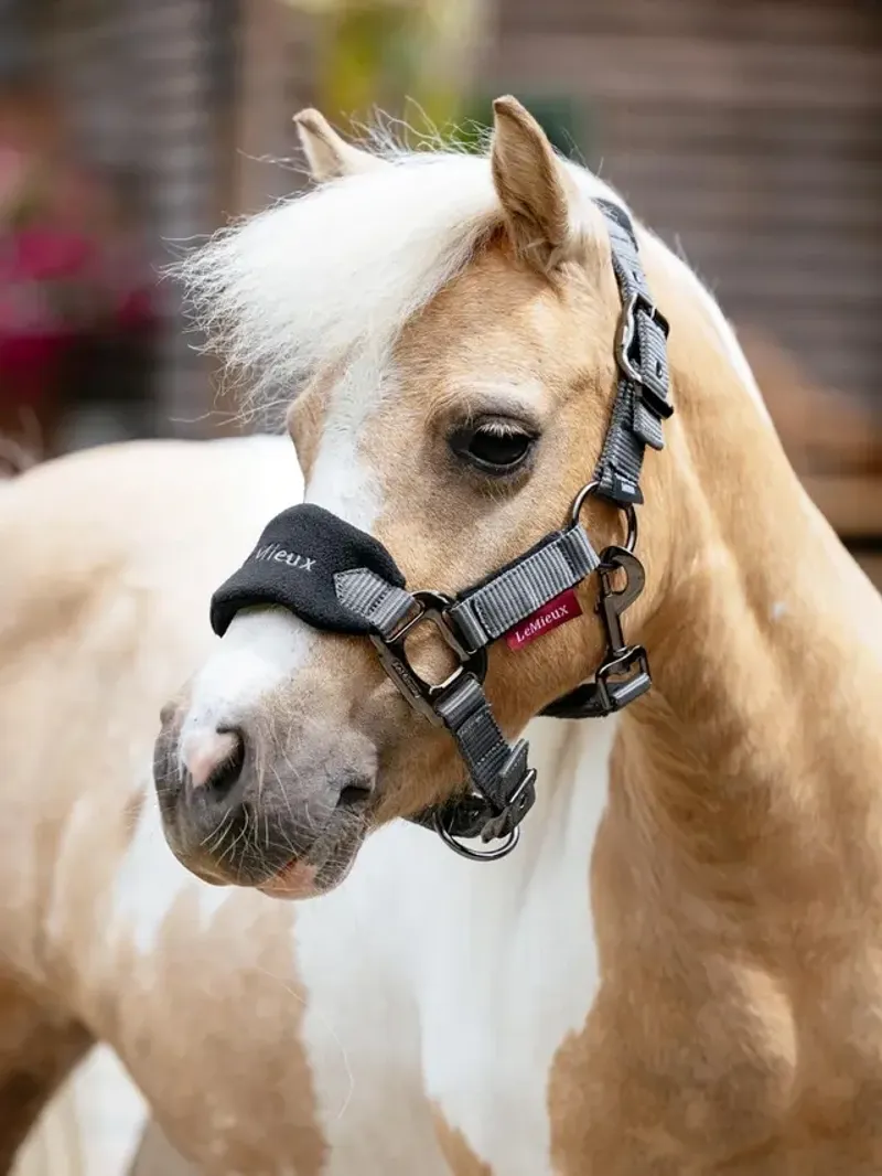 LeMieux Mini Vogue Headcollar and Leadrope in Black-1