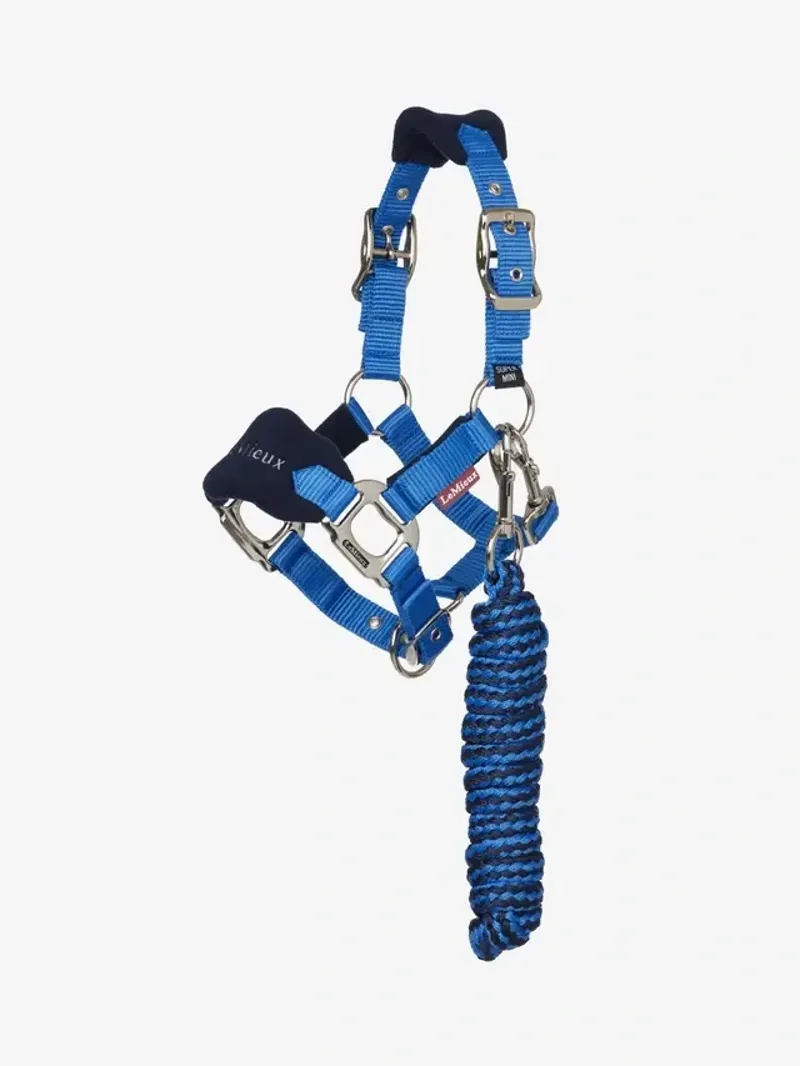 LeMieux Mini Vogue Headcollar and Leadrope in Benetton Blue
