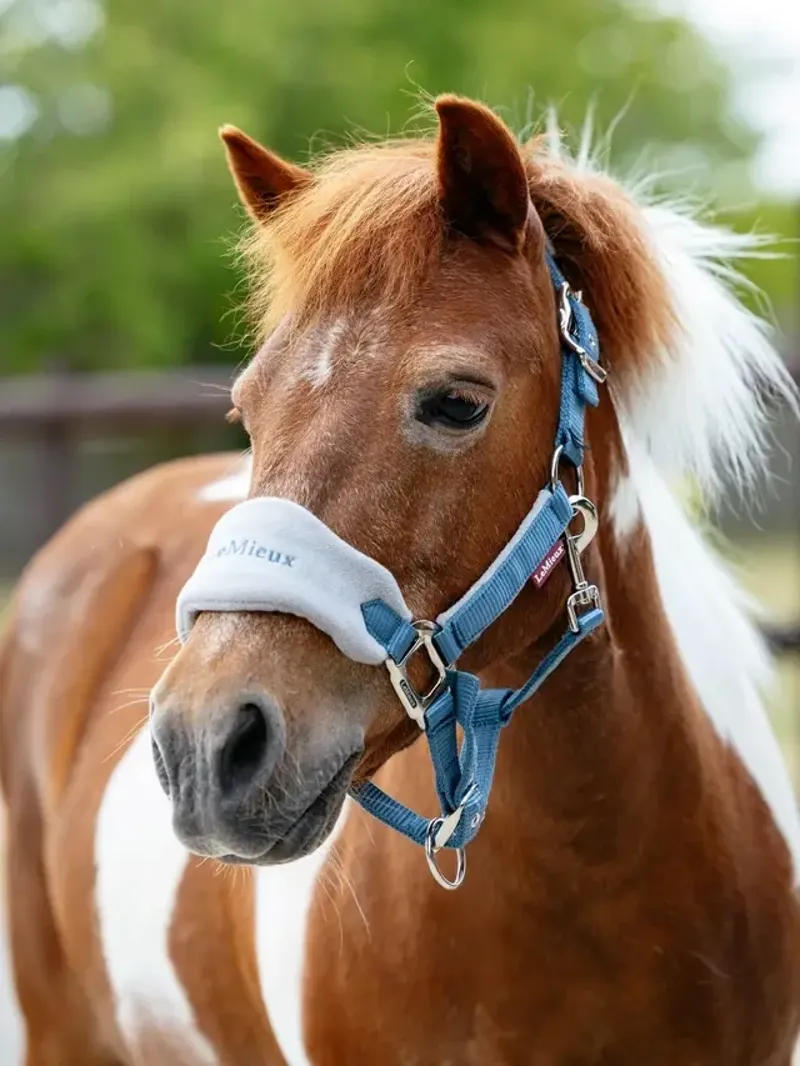 LeMieux Mini Vogue Headcollar and Leadrope in Ice Blue-1