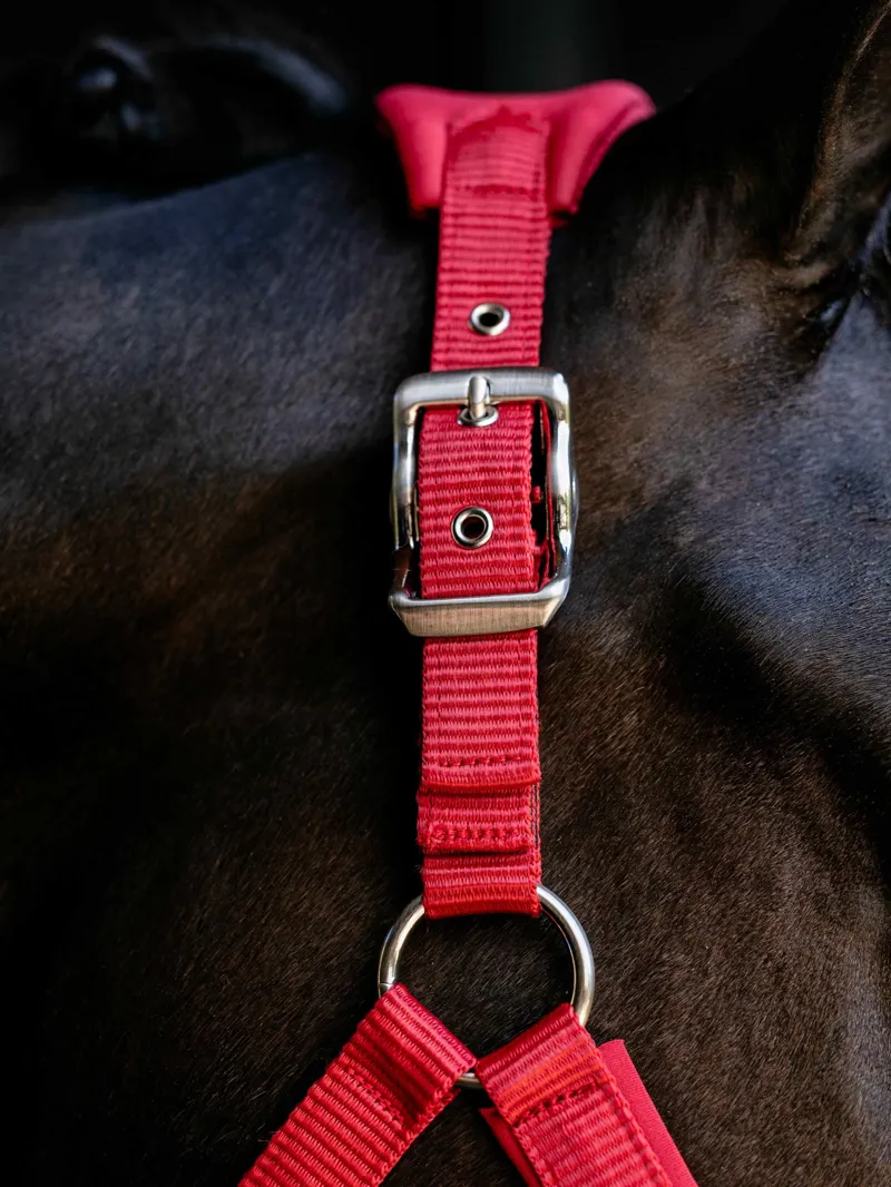 LeMieux Breakaway Vogue Headcollar in Chilli-2