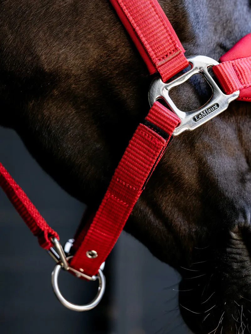 LeMieux Breakaway Vogue Headcollar in Chilli-3