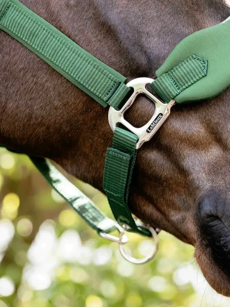 LeMieux Breakaway Vogue Headcollar in Hunter Green-2