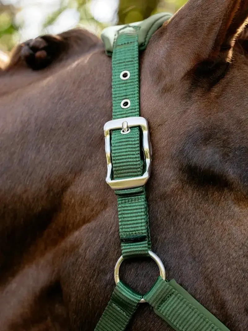 LeMieux Breakaway Vogue Headcollar in Hunter Green-1