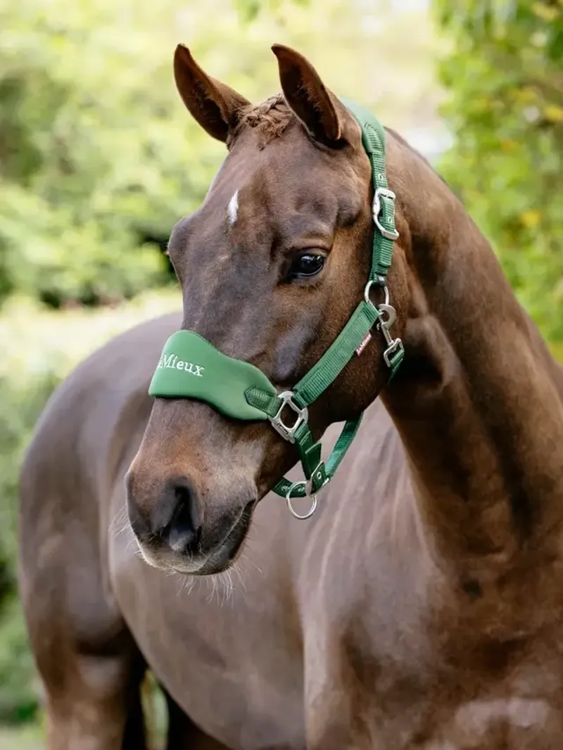 LeMieux Breakaway Vogue Headcollar in Hunter Green-3