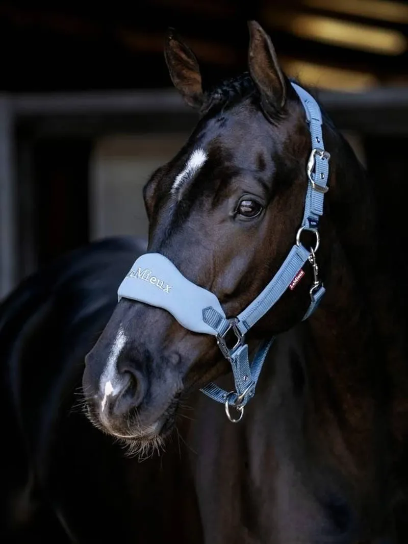 LeMieux Breakaway Vogue Headcollar in Ice Blue-3
