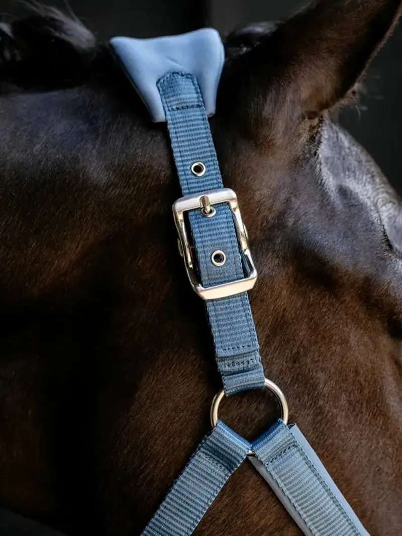 LeMieux Breakaway Vogue Headcollar in Ice Blue-2