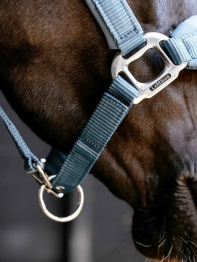 LeMieux Breakaway Vogue Headcollar in Ice Blue-1