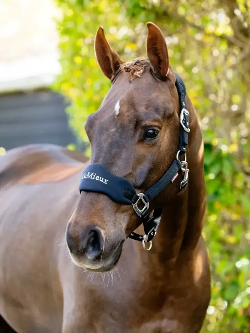 LeMieux Breakaway Vogue Headcollar in Black-1