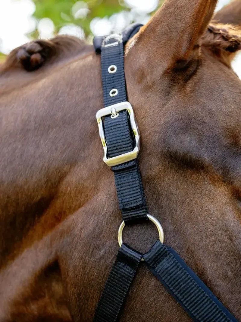 LeMieux Breakaway Vogue Headcollar in Black-3