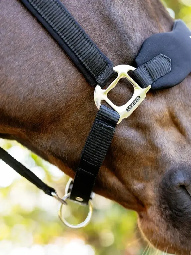 LeMieux Breakaway Vogue Headcollar in Black-2