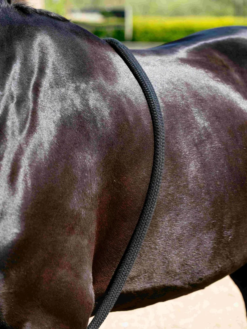 LeMieux Rope Lunging Aid in Black-2