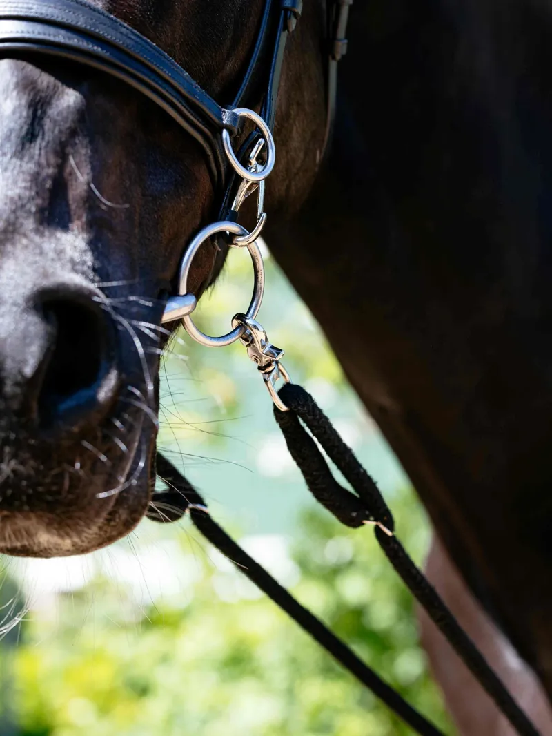 LeMieux Rope Lunging Aid in Black-3