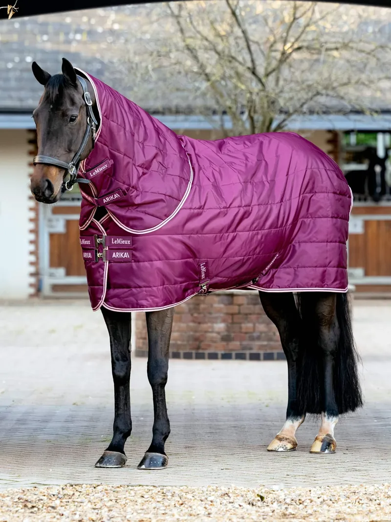 LeMieux Arika Stable-Tek with Neck 200g in Blackberry