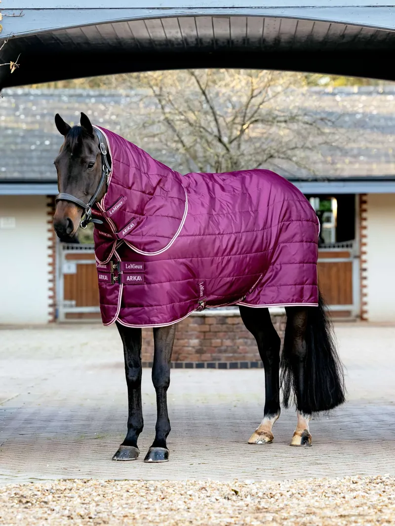 LeMieux Arika Stable-Tek with Neck 200g in Blackberry-2