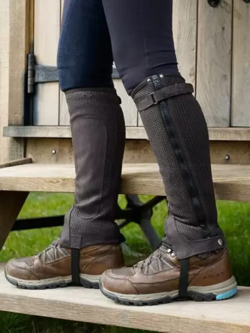 Just Chaps Cool Half Chaps Adults in Brown