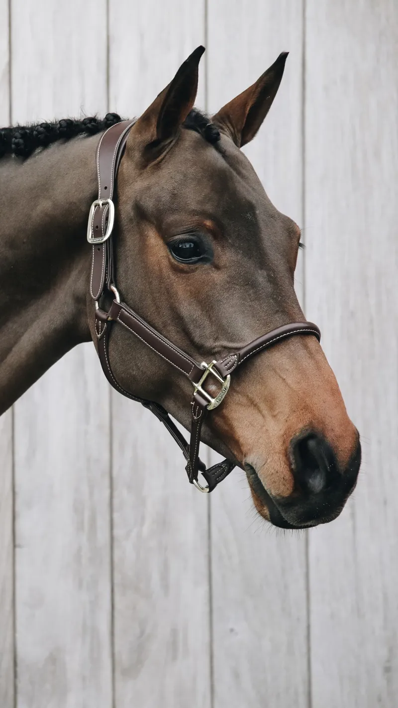 Kentucky Anatomic Faux Leather Headcollar in Brown-2