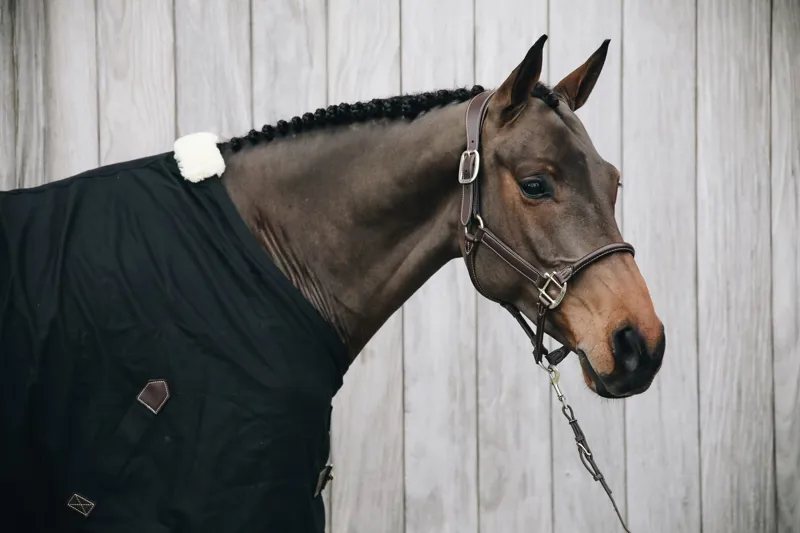 Kentucky Anatomic Faux Leather Headcollar in Brown-3