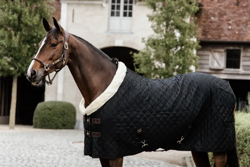 Kentucky Show Rug in Black-6