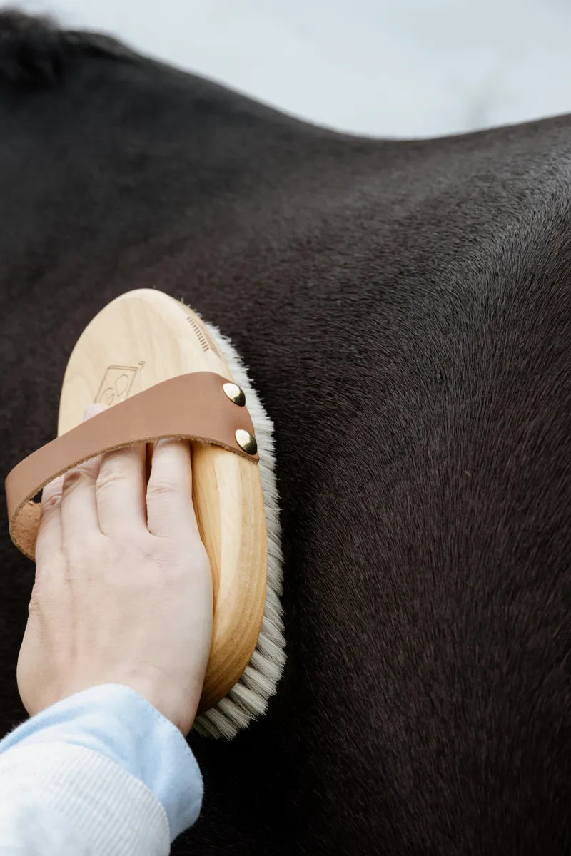 Kentucky Grooming Deluxe Overall Brush Body Soft Shine-4