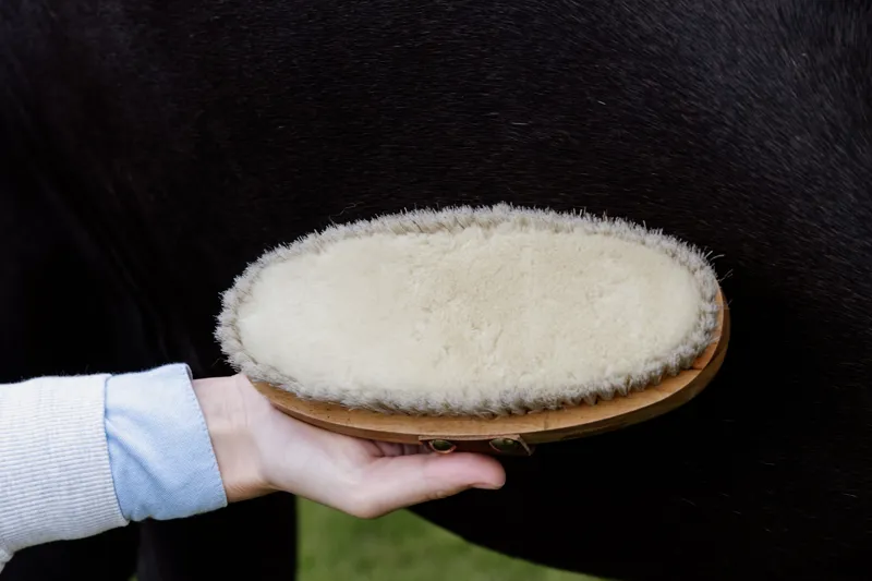 Kentucky Grooming Deluxe Overall Brush Body Soft Shine-2