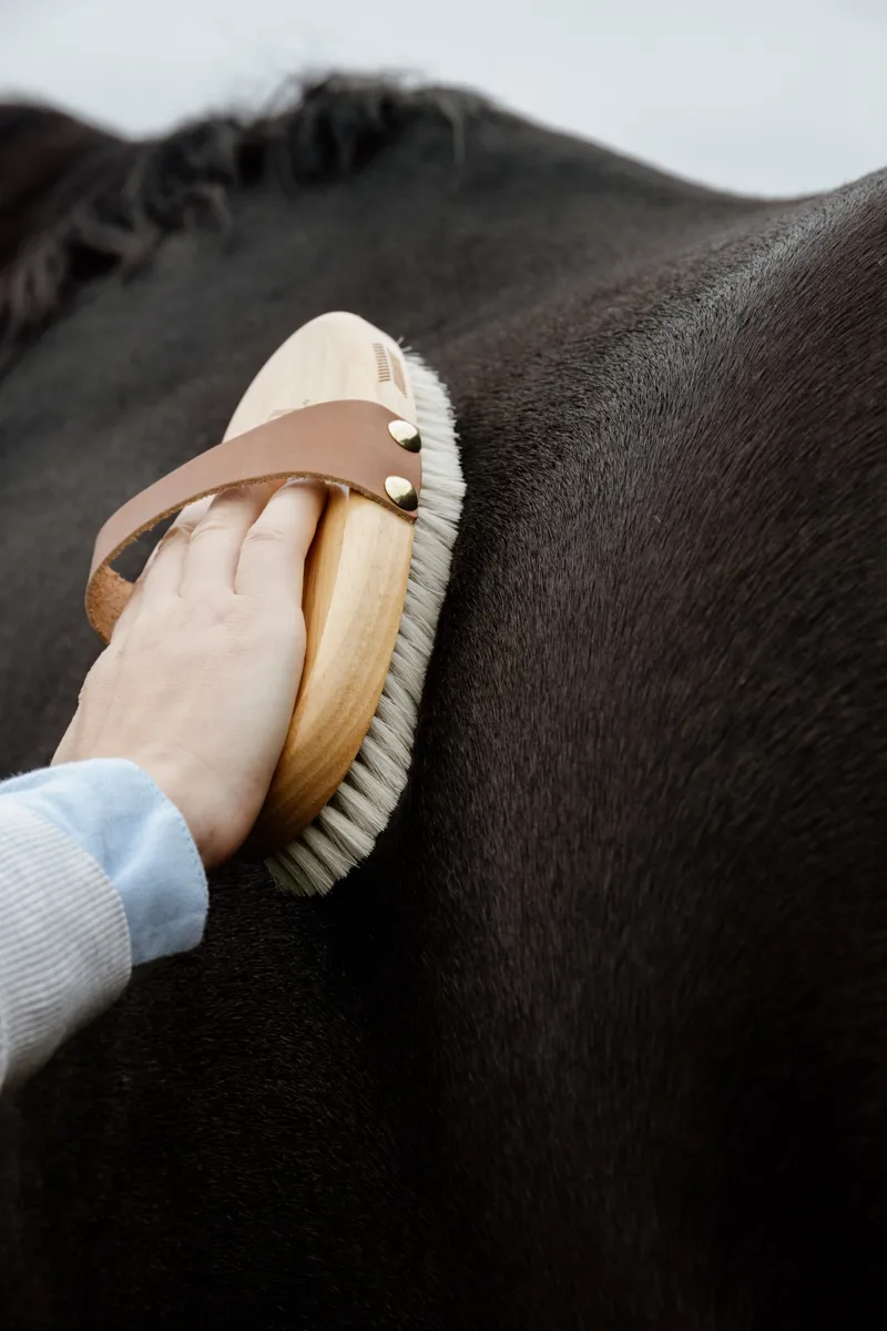 Kentucky Grooming Deluxe Overall Brush Body Soft Shine-3