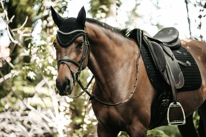 Kentucky Dressage Pearls Saddle Pad in Black-2
