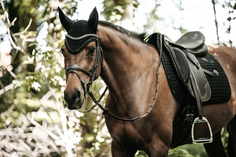 Kentucky Dressage Pearls Saddle Pad in Black-1
