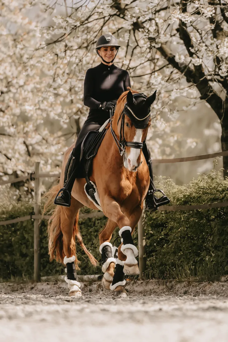 Kentucky Wellington Fly Veil with Glitter Stone in Black-4