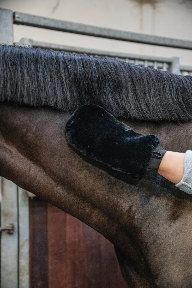 Kentucky Grooming Deluxe Sheepskin Grooming Mitt in Black-2