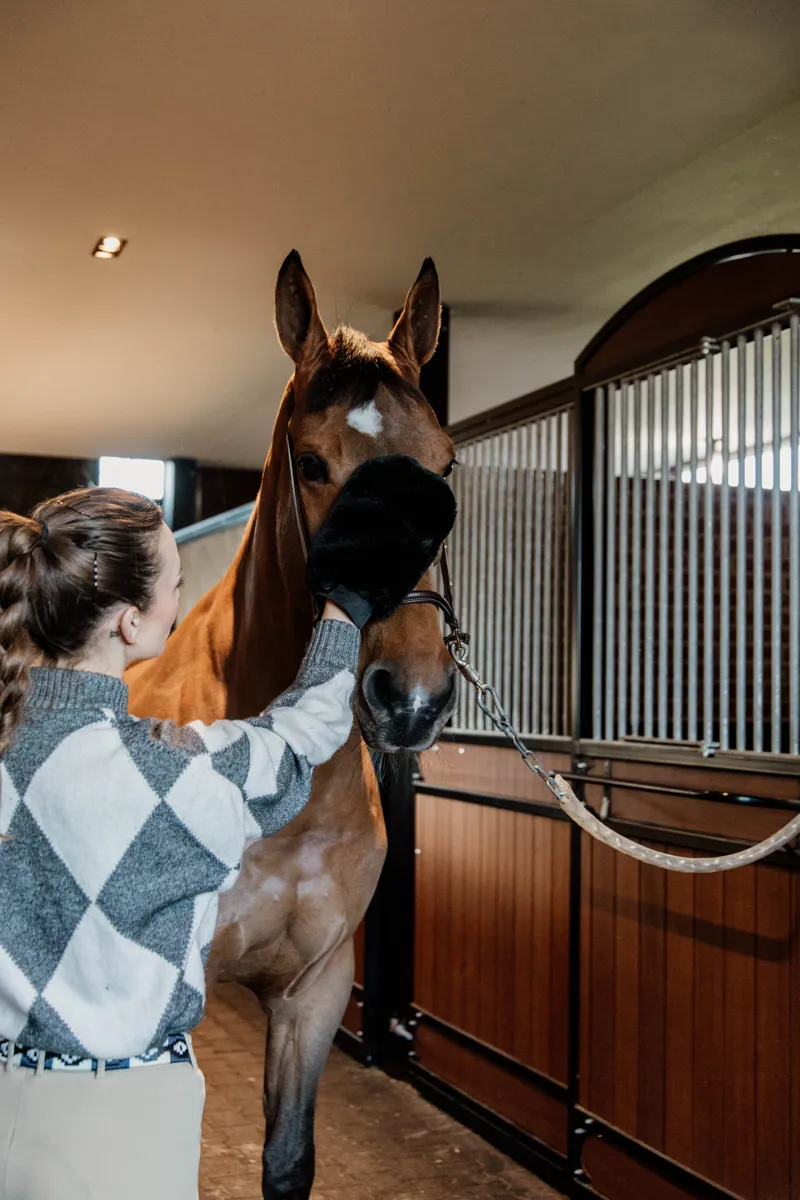 Kentucky Grooming Deluxe Sheepskin Grooming Mitt in Black-3