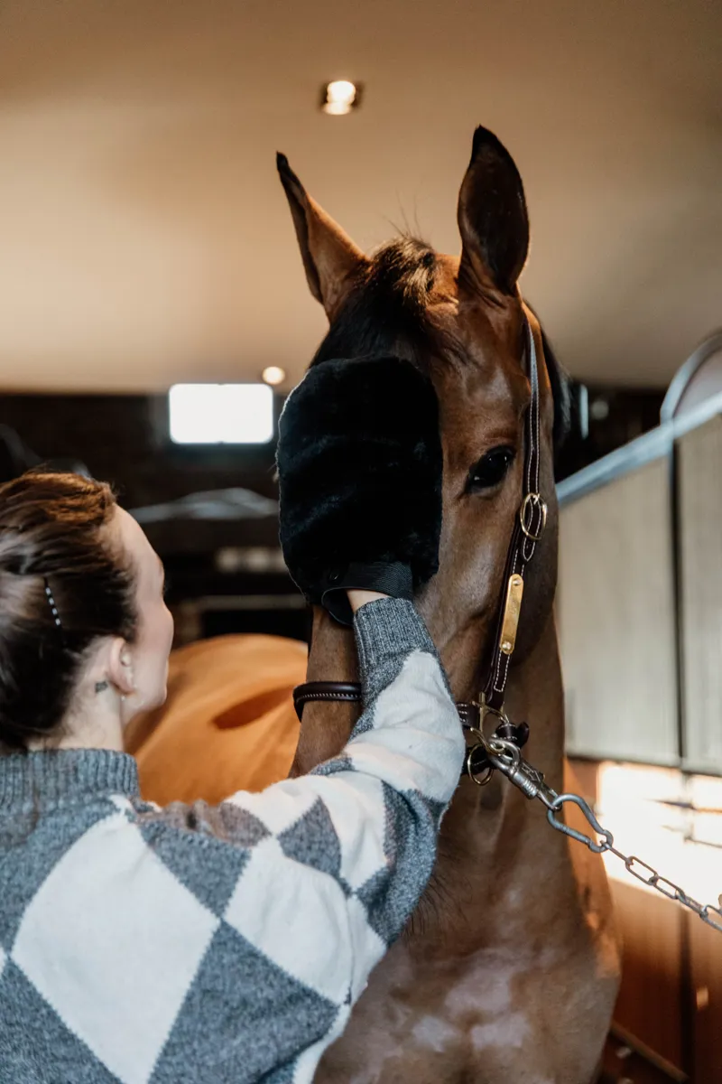 Kentucky Grooming Deluxe Sheepskin Grooming Mitt in Black-4