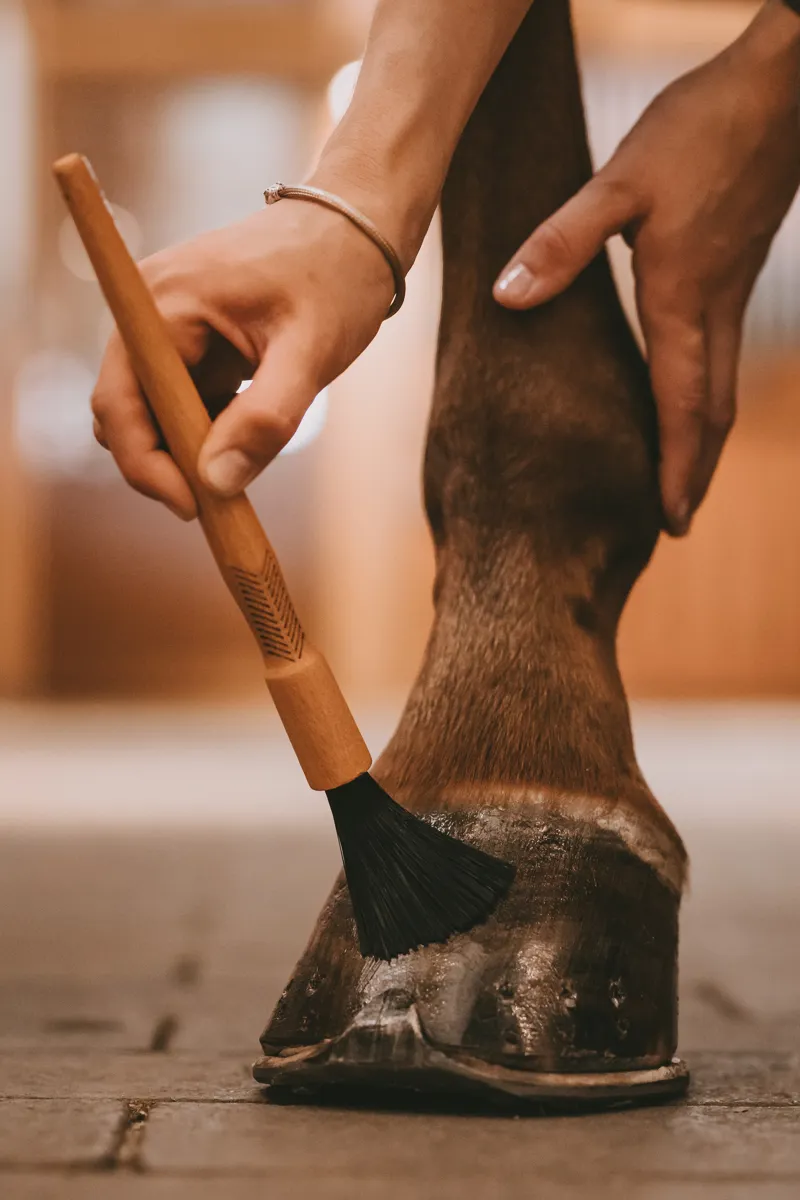 Kentucky Grooming Deluxe Hoof Pencil-3