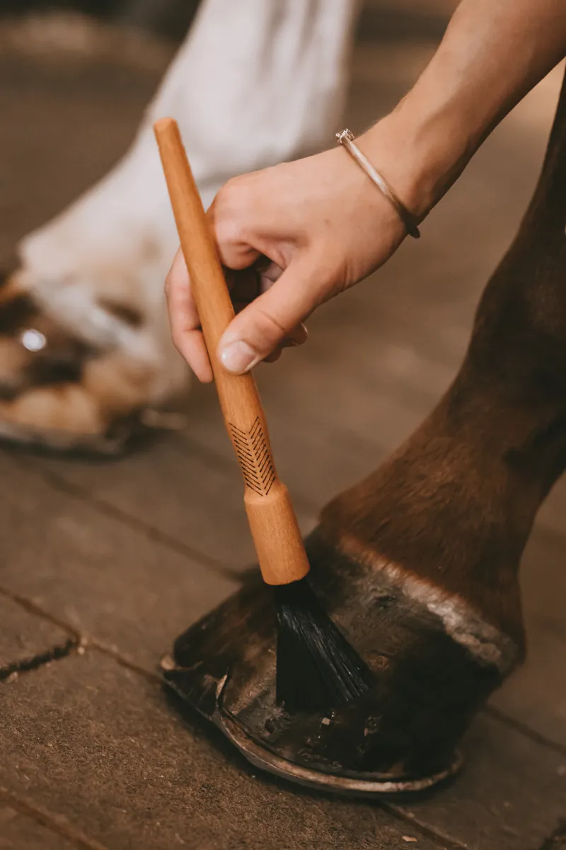 Kentucky Grooming Deluxe Hoof Pencil-4