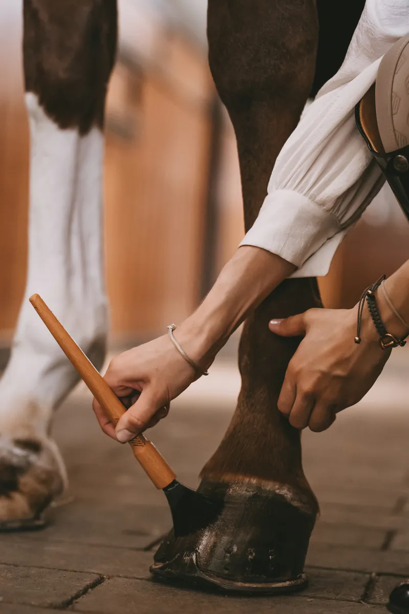 Kentucky Grooming Deluxe Hoof Pencil-5