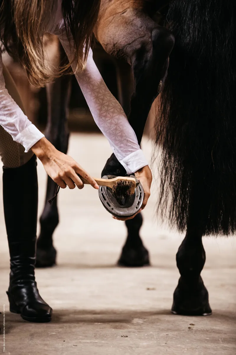 Kentucky Horsewear Grooming Deluxe Hoof Pick and Brush-7