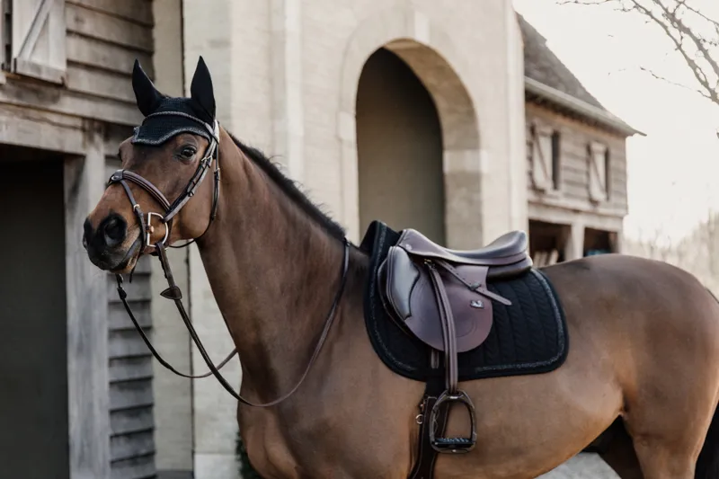Kentucky Horsewear Glitter Stone Close Contact Saddle Pad in Black-3