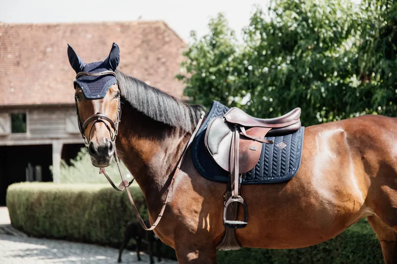 Kentucky Horsewear Glitter Stone Close Contact Saddle Pad in Navy-2