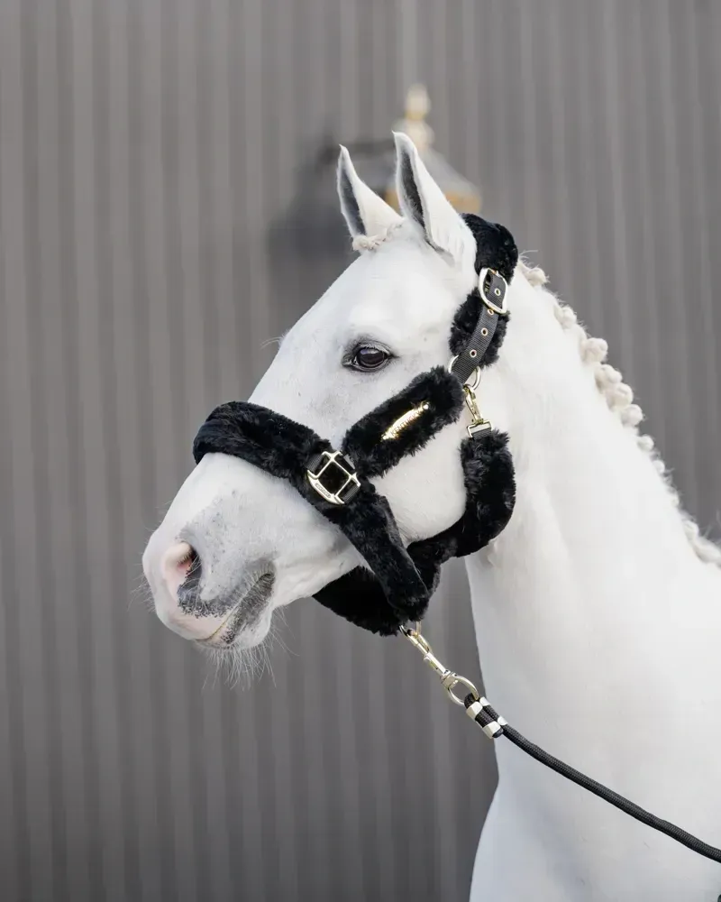 Kentucky Horsewear Sheepskin Travel Headcollar in Black-4