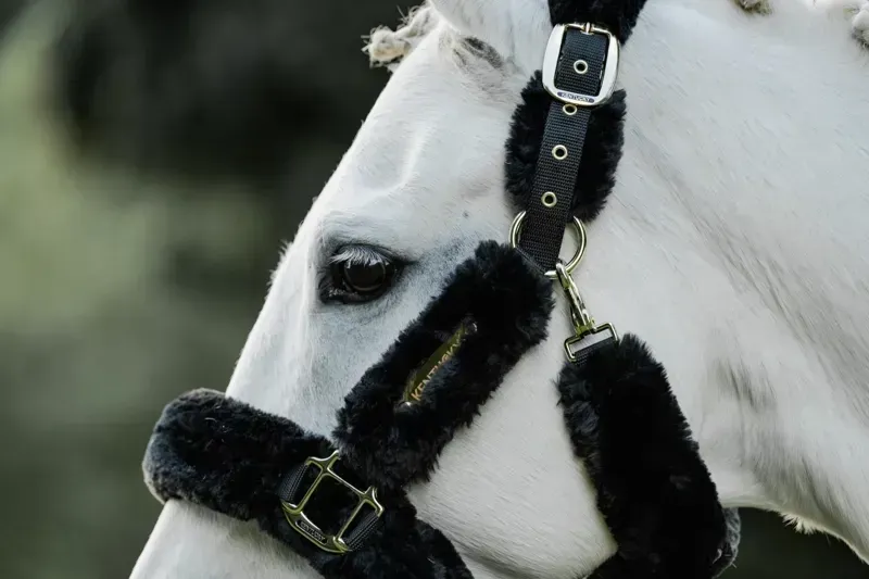 Kentucky Horsewear Sheepskin Travel Headcollar in Black-7