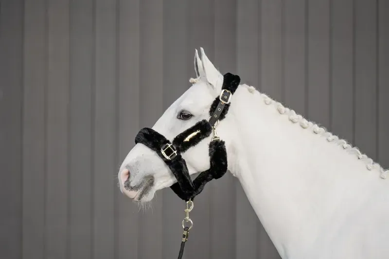 Kentucky Horsewear Sheepskin Travel Headcollar in Black-3