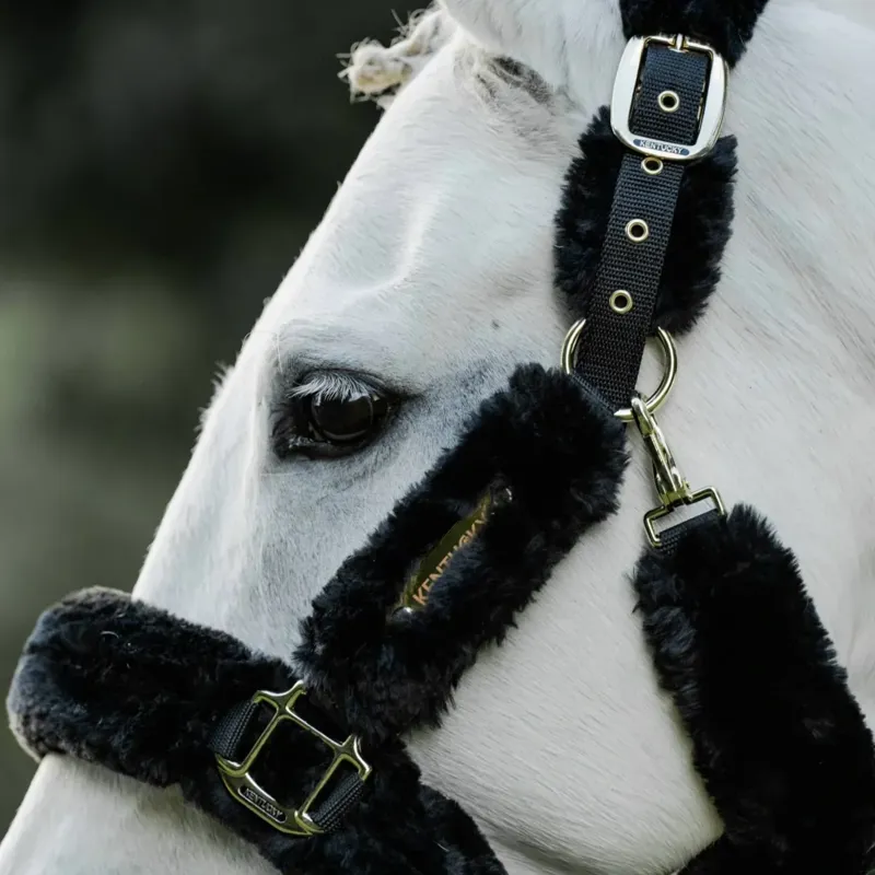 Kentucky Horsewear Sheepskin Travel Headcollar in Black-8