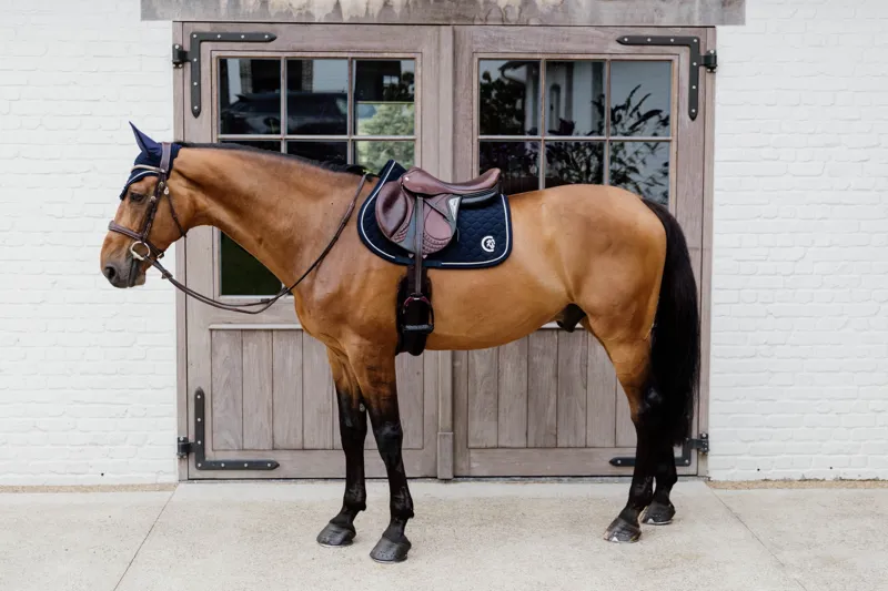 Kentucky Horsewear Onion Quilt Rubber Logo Saddle Cloth in Navy-2
