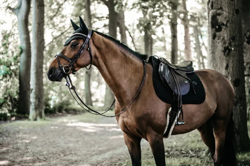 Kentucky Jumping Pearls Saddle Pad in Black-7